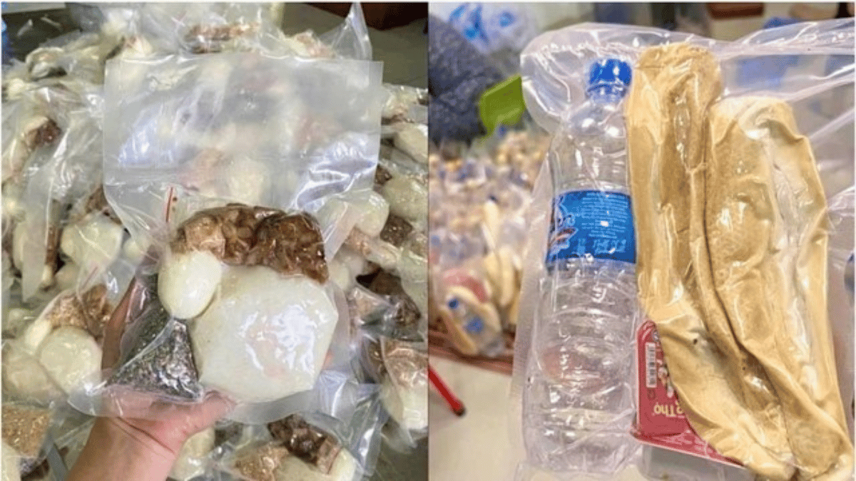 ảnh đại diện web 1200x675 (11)