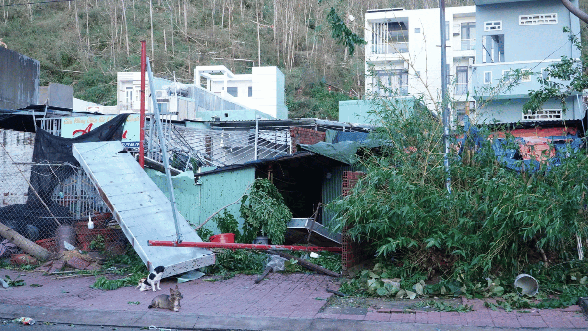 ảnh đại diện web 1200x675 (30)